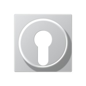 Jung Płytka centralna przełącznika kluczowego (zabezpieczonego) - Aluminium - A528PLAL