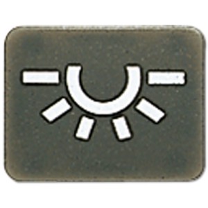 Jung Przycisk z symbolem Żarówka 33ANL