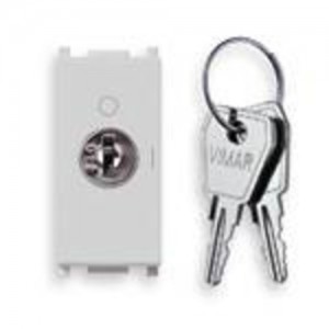 Vimar Przycisk kluczowy 2P NO 16A 250V z kluczem 000 1M - Srebrny - 14087.CU.SL