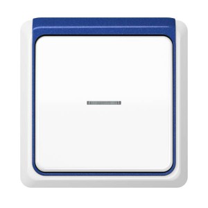 Jung Przełącznik CD Plus Podświetlony – Biały – Ramka zewnętrzna – Niebieska