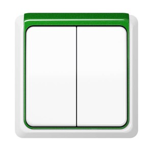 Jung Przycisk CD Plus Podwójny Standardowy – Biały – Ramka zewnętrzna – Zielona