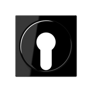 Jung Płytka centralna przełącznika kluczowego (zabezpieczonego) - Czarna - A528PLSW
