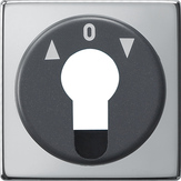 Gira Osłona łącznika i przycisku  na klucz System 55 (Chrom) 0664605