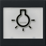 Gira Klawisz z piktogramem symbol światła System 55 czarny m - 0216005