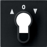 Gira Osłona łącznika na klucz i przycisku na klucz System 55 czarny m - 0664005