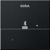 Gira Złącze Apple Lightning na stację dokującą System 55 czarny m - 2287005
