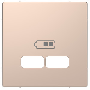 Merten Płytka centralna gniazda ładowarki USB - Szampan - MTN4367-6051