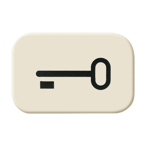 ABB Symbol przełącznika wciskanego ''Klucz'' - Busch-Duro - Kość słoniowa - 2525 TR