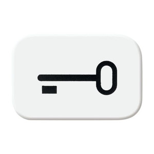 ABB Symbol przełącznika wciskanego ''Klucz'' - Reflex - Biały alpejski - 2525 TR-214