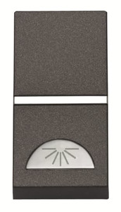 ABB Przycisk z symbolem ''Światło'' - Zenit - Antracyt - N2104.2 AN