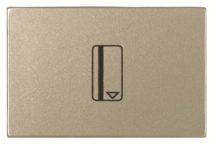 ABB Wyłącznik czasowy na kartę z LED - Zenit - Szampański - N2214.5 CV