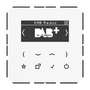 Jung CD Radio cyfrowe DAB+ wyświetlacz - Biały - DABCDWW