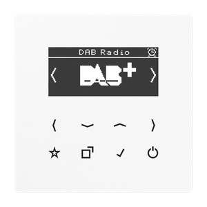 Jung LS Radio cyfrowe DAB+ - wyświetlacz Biały - DABLSWW