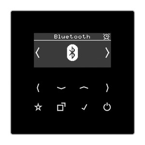Jung LS Radio cyfrowe DAB+ Bluetooth - wyświetlacz Czarny - DABLSBTSW