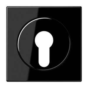 Jung Płytka centralna przełącznika kluczowego (zabezpieczonego) - Czarna - LS928SW