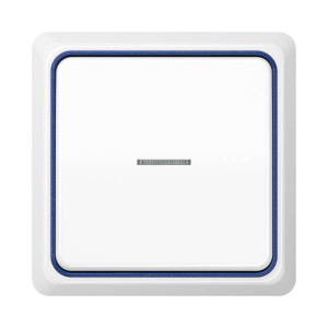 Jung Przełącznik CD Plus Podświetlony – Biały – Ramka wewnętrzna – Niebieska