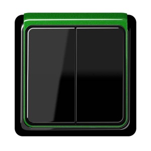 Jung Przełącznik CD Plus Podwójny Uniwersalny – Czarny – Ramka zewnętrzna – Zielona