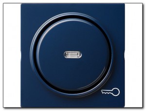 Gira Klawisz kontrolny symbolem klucza S-Color niebieski 028746
