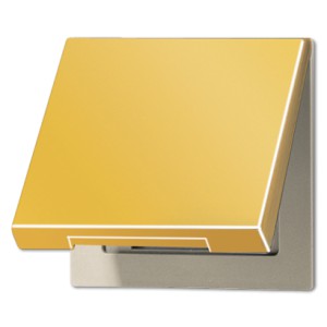 Jung Klapka centralna, w kolorze złota GO2990KL