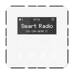 Jung Moduł Smart Radio z wyświetlaczem - Biały - RADCD508WW