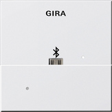 Gira Złącze USB Mikro-B do stacji dokującej System 55 (Biały matowy) 228527