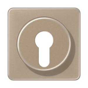 Jung Płytka centralna przełącznika kluczowego (zabezpieczonego) - Złoto-Brązowa - CD528GB