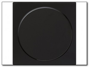Gira Zaślepka z płytką mocującą S-Color czarny 026847