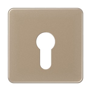 Jung Płytka centralna przełącznika kluczowego (niezabezpieczonego) - Złoto-Brązowa - CD525GB