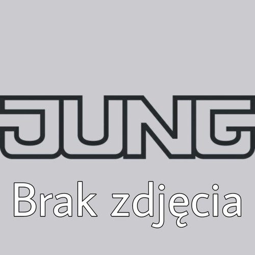 jung_logo.jpg